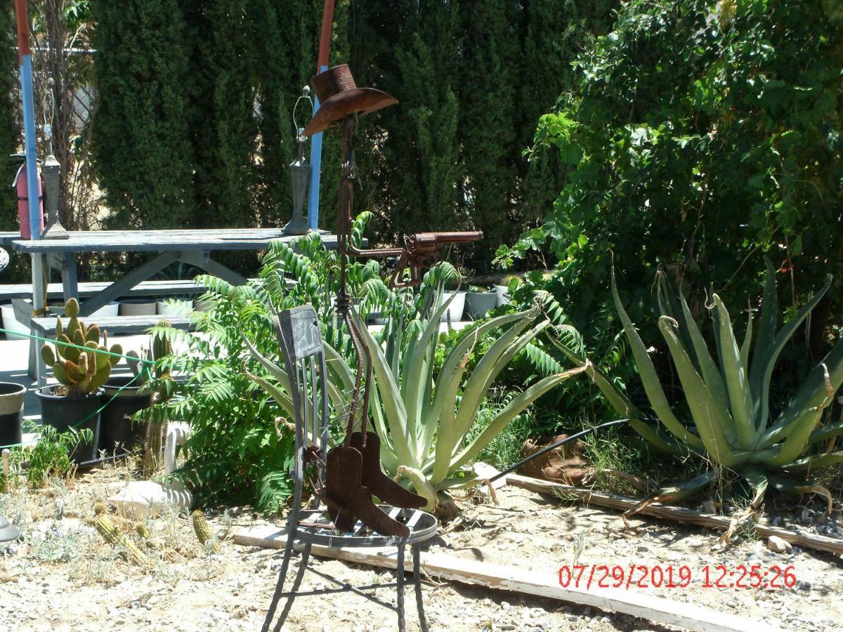 Safari Motor Inn - Joshua Tree Exterior photo